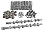 276/276, Lift .580/.580, Lobe Sep. 114, w/ Springs, Ford 4.6L/5.4L 2V